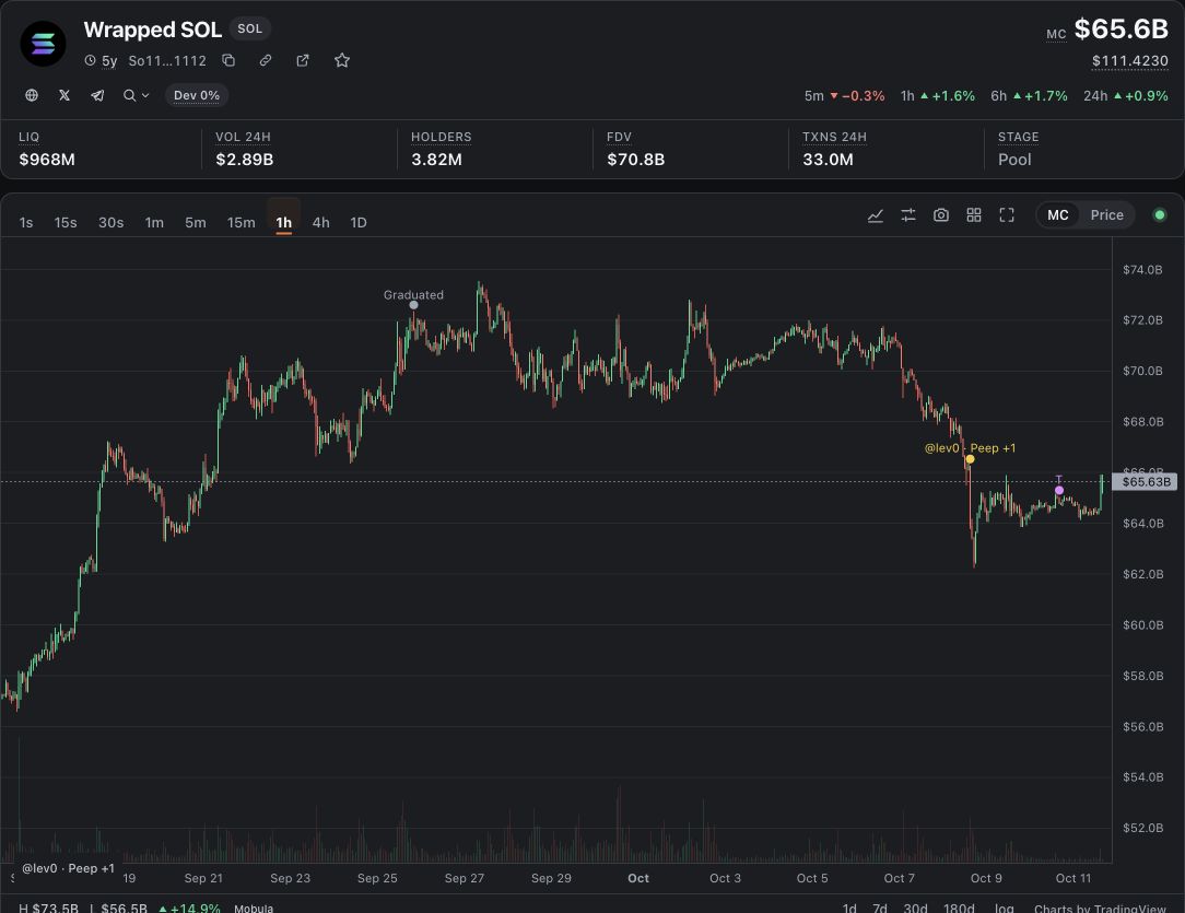 Actual Wrapped SOL price chart, liquidity, volume and holders inside Peep.